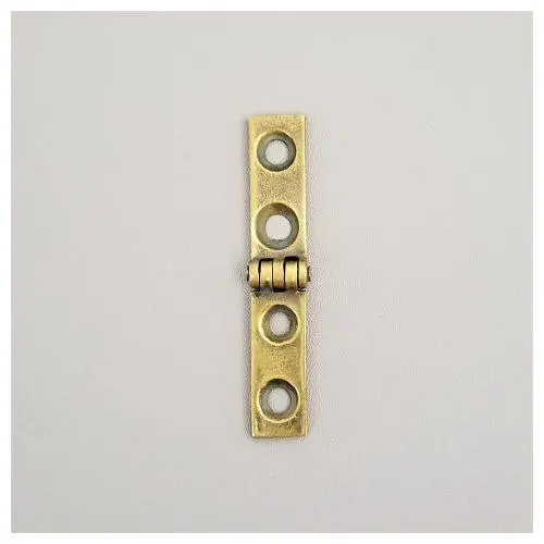 Strap Hinge