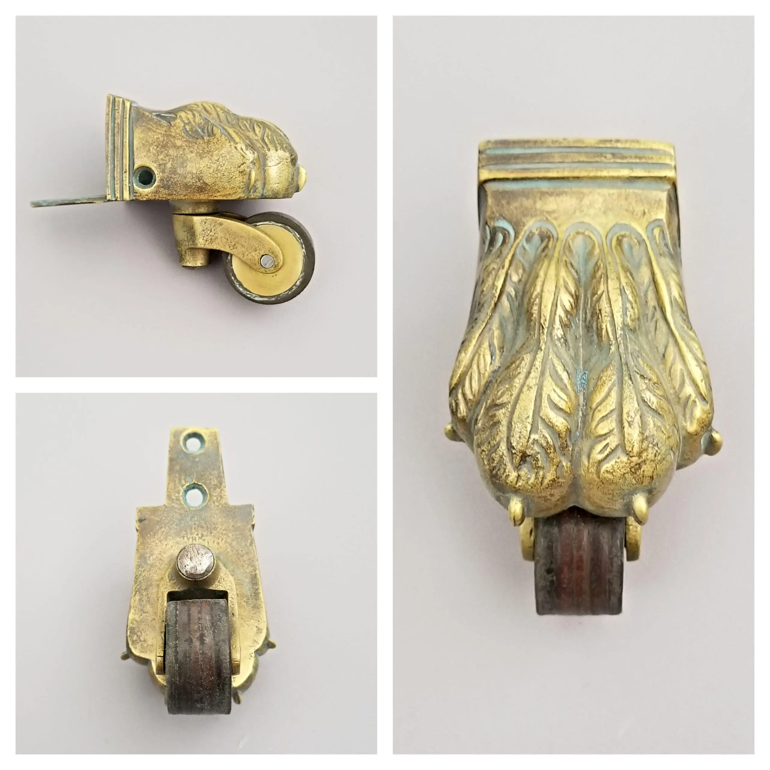 Lion Paw Castor - Image 2