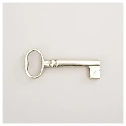 Kidney Bow Key Blank